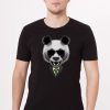 oso-panda