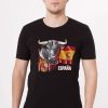 toro-espana